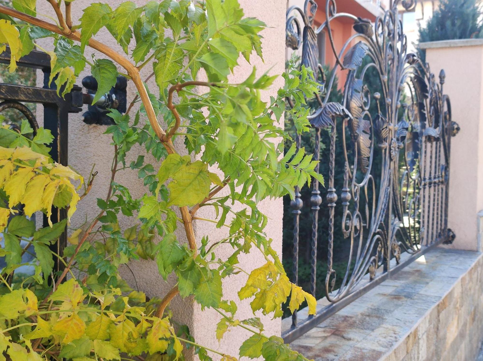 Guest House Via Sapareva Banya Dış mekan fotoğraf