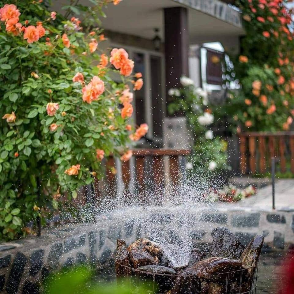 Guest House Via Sapareva Banya Dış mekan fotoğraf