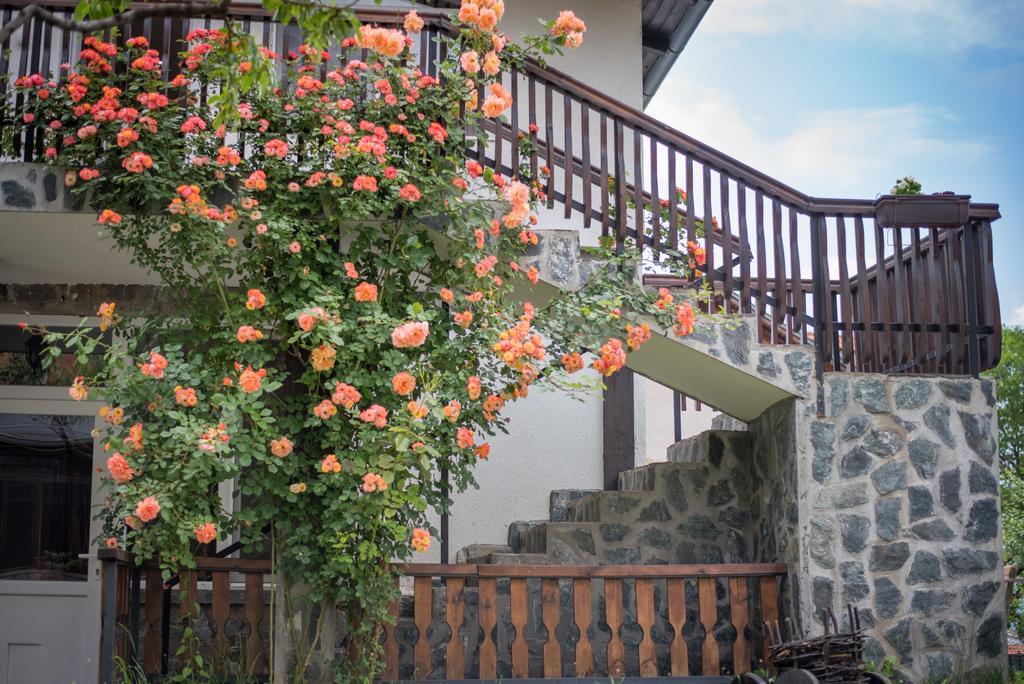 Guest House Via Sapareva Banya Dış mekan fotoğraf