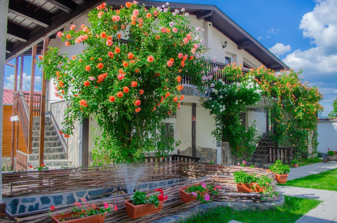 Guest House Via Sapareva Banya Dış mekan fotoğraf